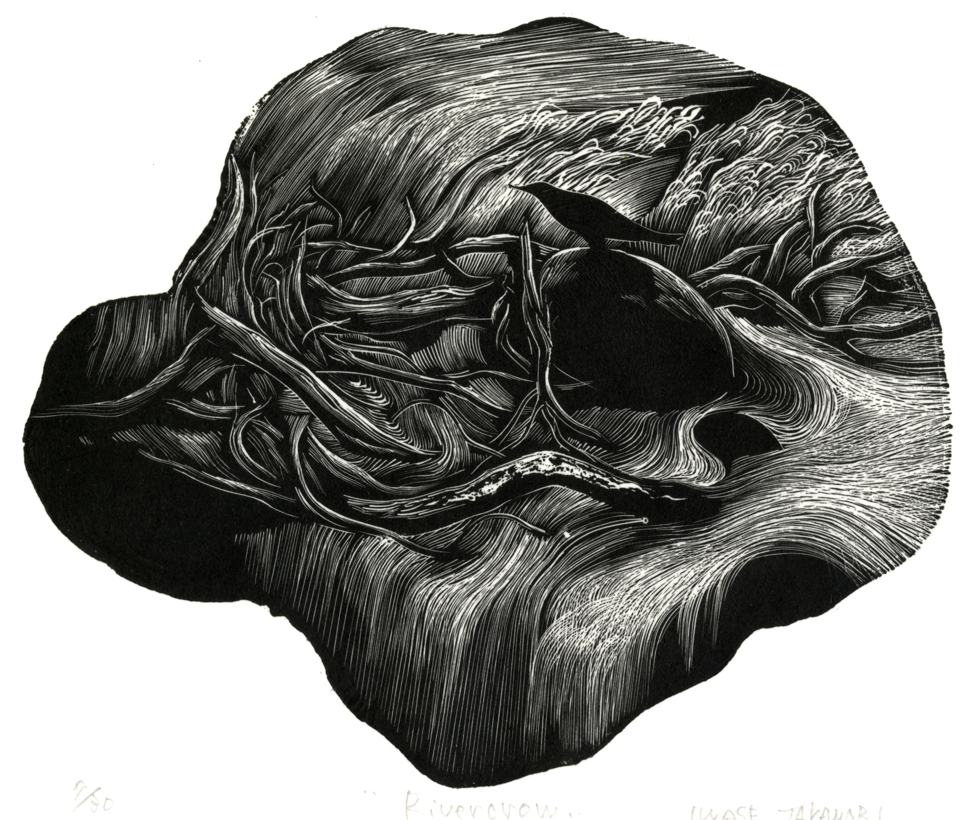 rivercrow