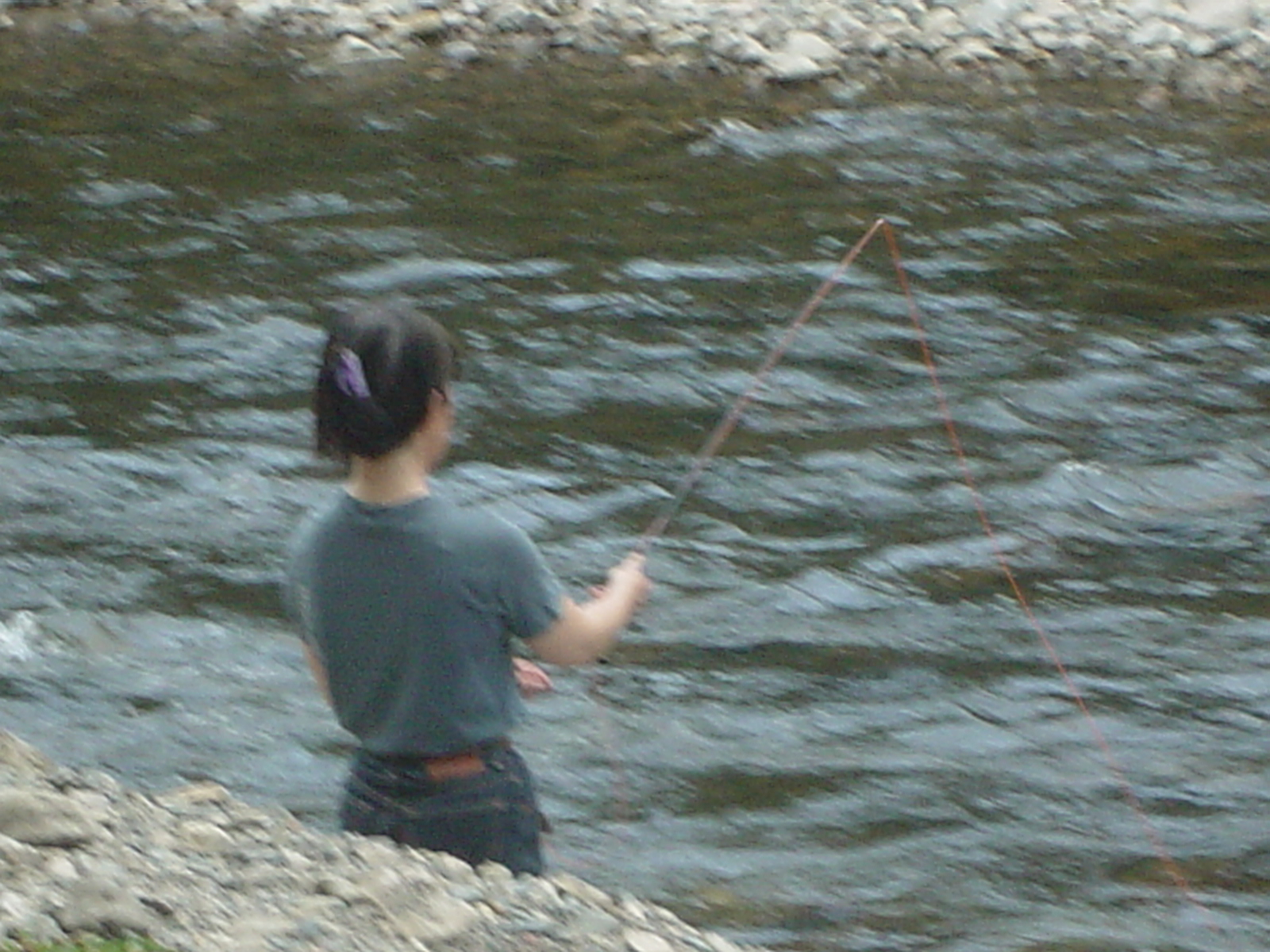 fish8