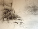 my cuertis creek