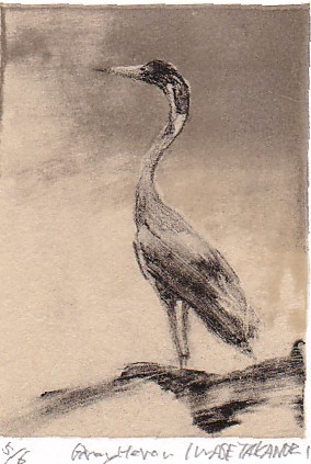 heron
