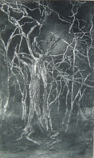 night tree