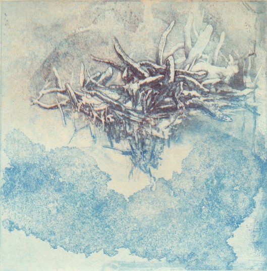 wetlands-afternoon