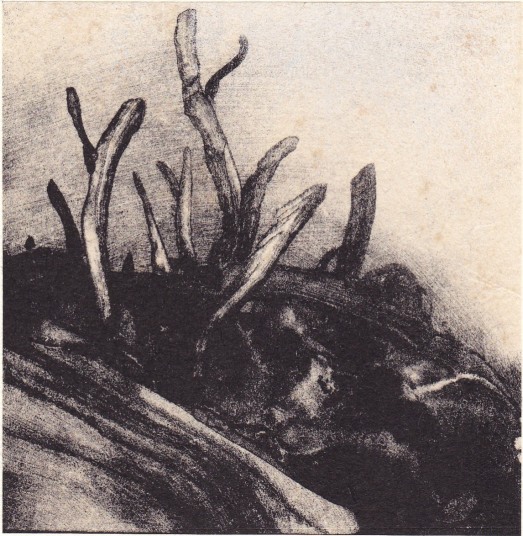 wetland11